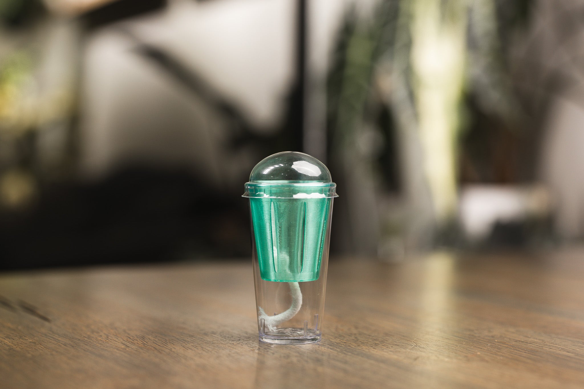 Corm Cup