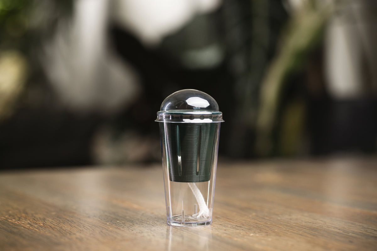 Corm Cup